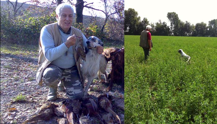 Ottimo ausiliare venatorio per la felicit� del suo proprietario Mangoni A. Ch. di bellezza qui a fagiani e con la regina del bosco 2009, et� 7a.