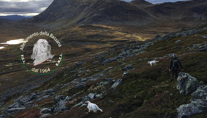 mountain game :: Valtellina 2016