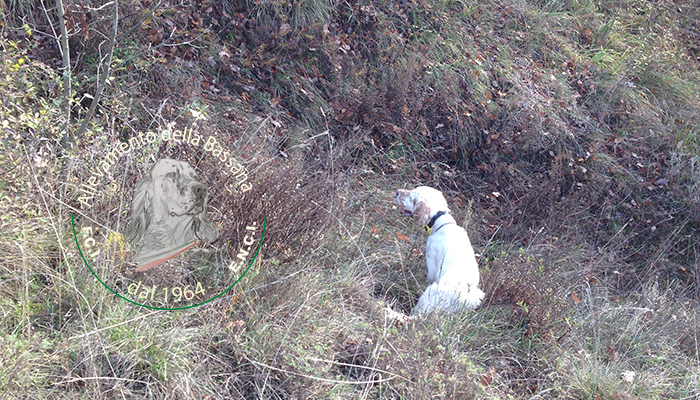 from fields trials to hunting :: hunting season 2015