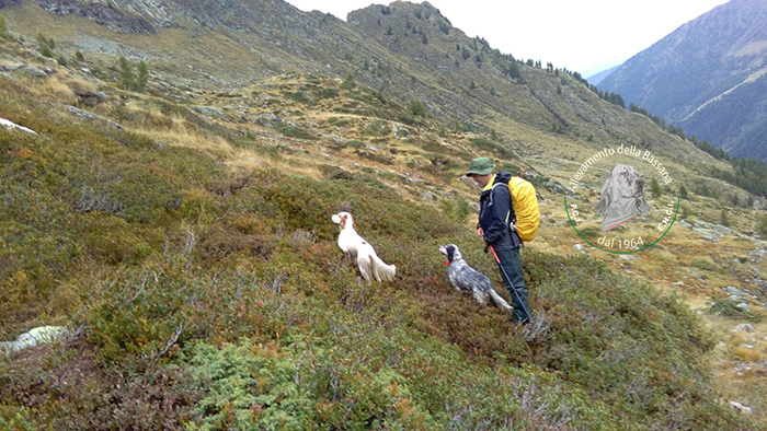 mountain game hunting season 2016