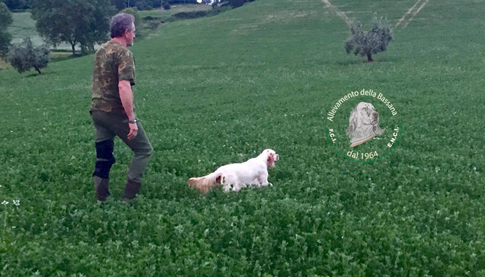 Ottimo ausiliare venatorio per la felicit del suo proprietario Bianchi