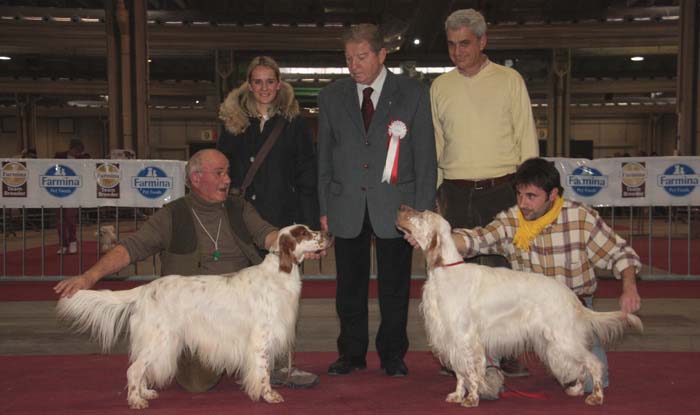 Di Attitudini superiori alla media per capacit ed indole. A Sx con KELLJ. Qui BOB a Expo Verona. Propr. Massimo M. 