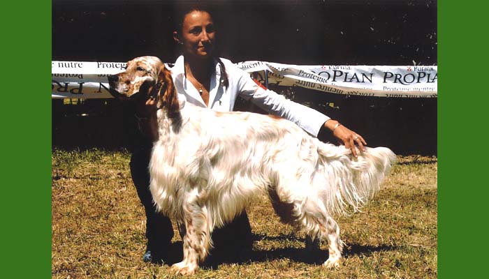 Un cucciolo...