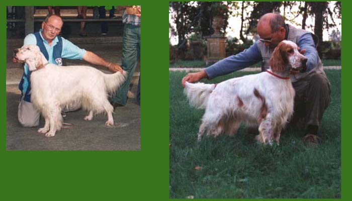 Il primo ch. it e int. Bellezza - il secondo campione assoluto, fratello di Teo della bassana
