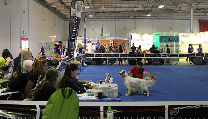 Here during international dogshow in Greece