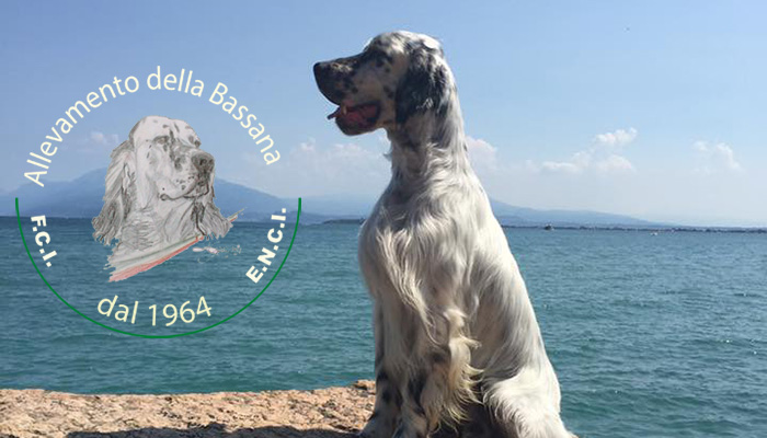 from  Garda Lake ... 