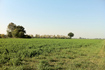 Area di addestramento